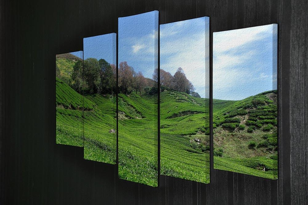 Tea Mountain 5 Split Panel Canvas  - Canvas Art Rocks - 2