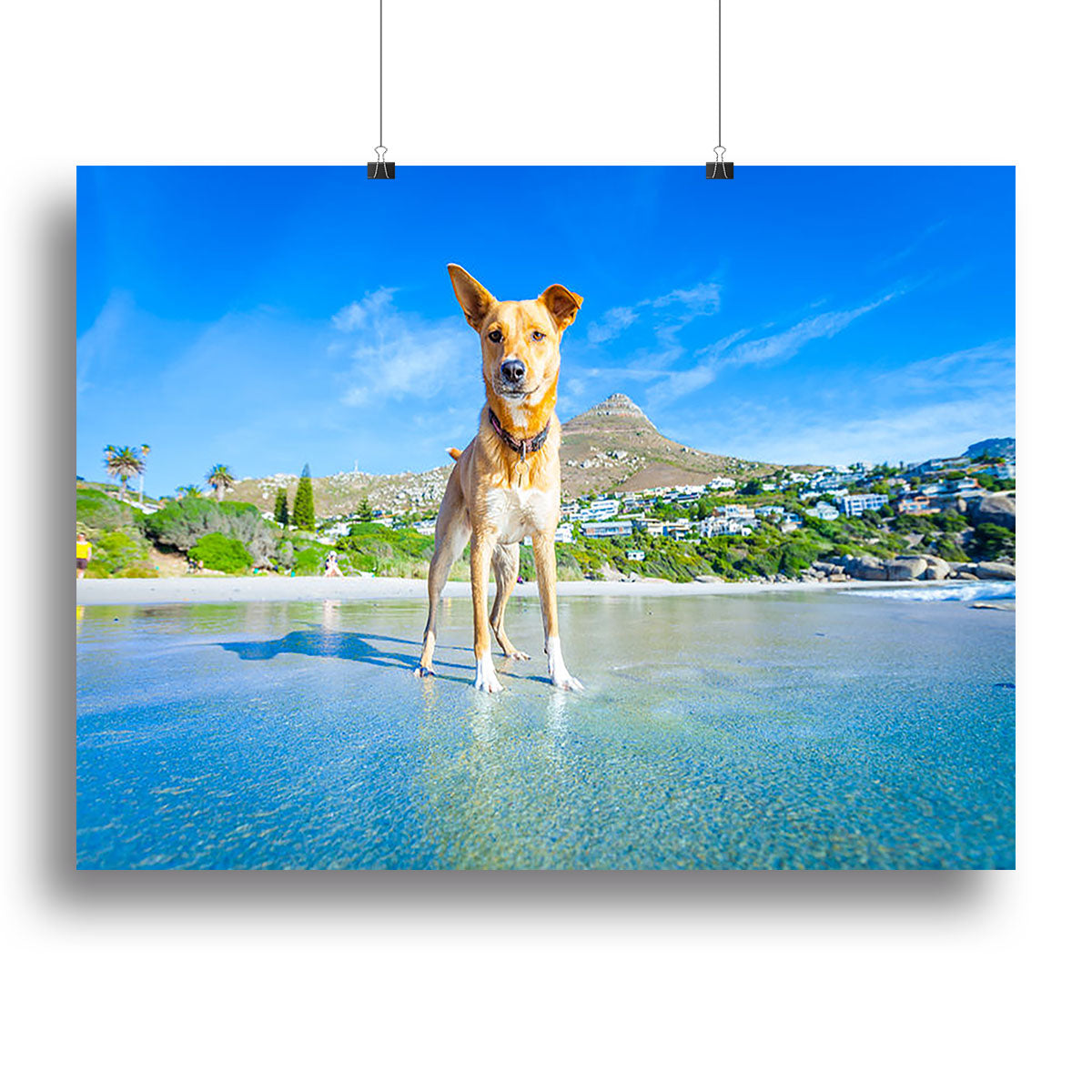Terrier dog having fun Canvas Print or Poster - Canvas Art Rocks - 2