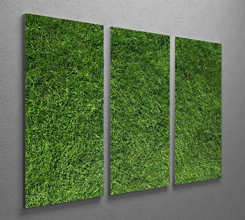 Texture of green grass 3 Split Panel Canvas Print - Canvas Art Rocks - 2