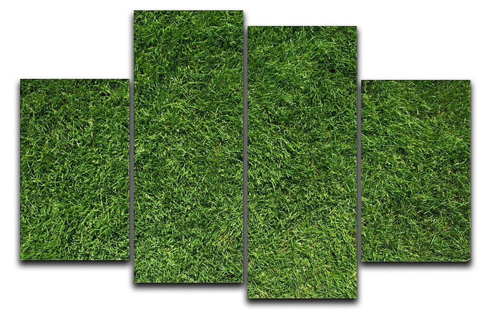 Texture of green grass 4 Split Panel Canvas - Canvas Art Rocks - 1