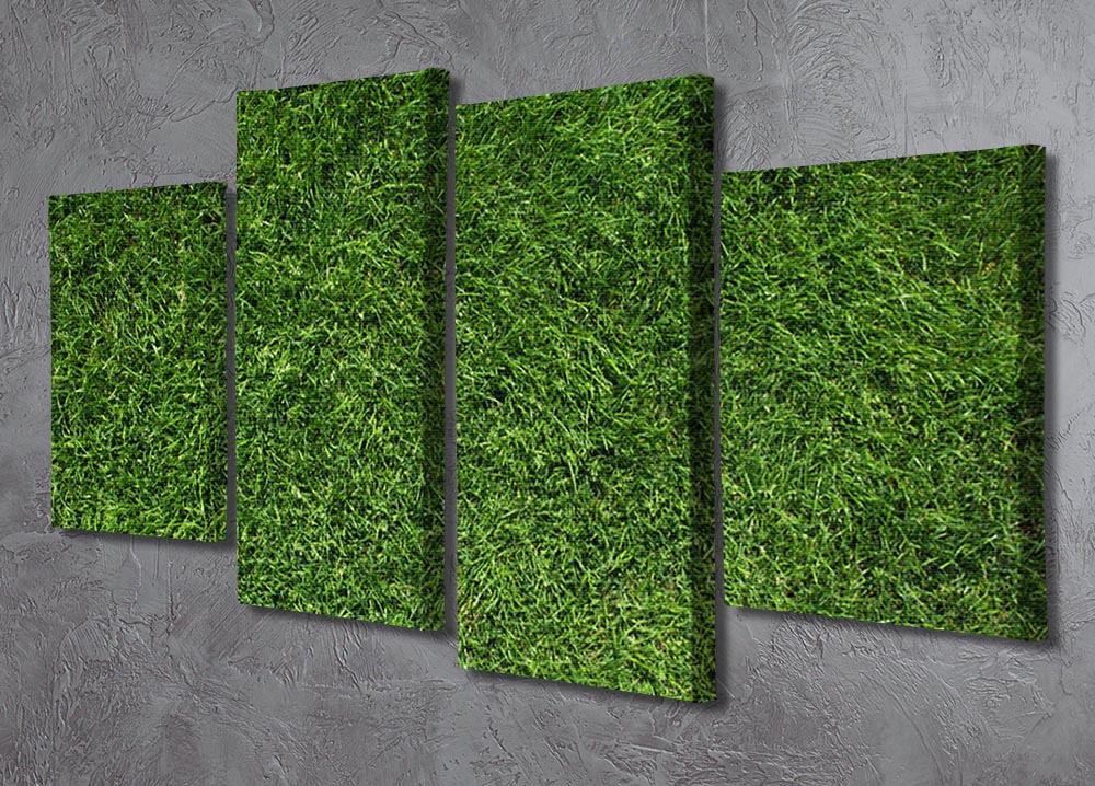 Texture of green grass 4 Split Panel Canvas - Canvas Art Rocks - 2