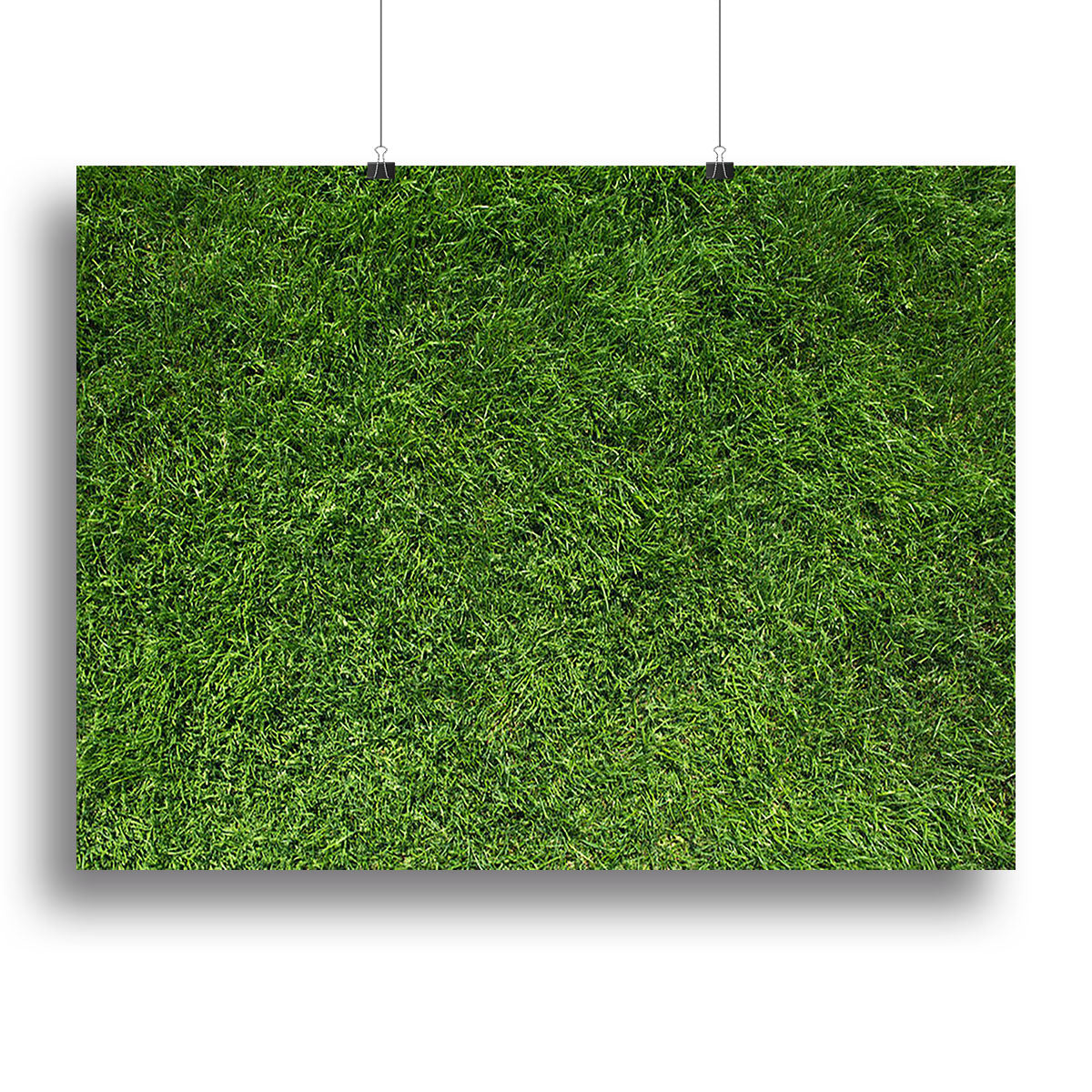 Texture of green grass Canvas Print or Poster - Canvas Art Rocks - 2