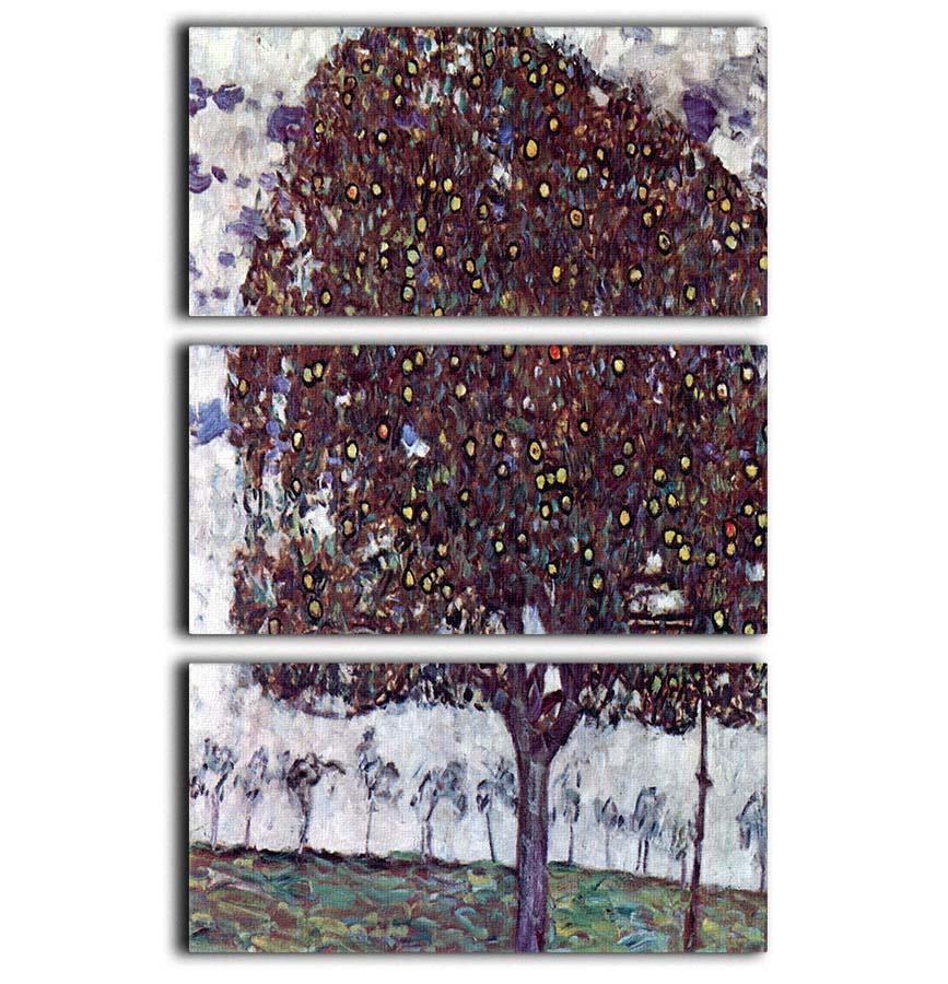 The Apple Tree by Klimt 3 Split Panel Canvas Print - Canvas Art Rocks - 1