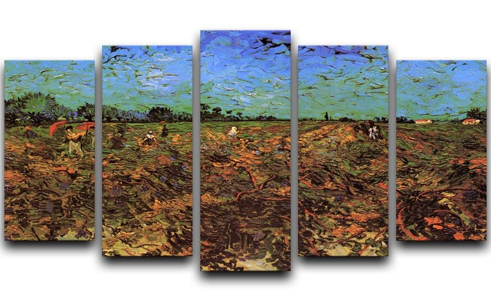 The Green Vineyard by Van Gogh 5 Split Panel Canvas  - Canvas Art Rocks - 1