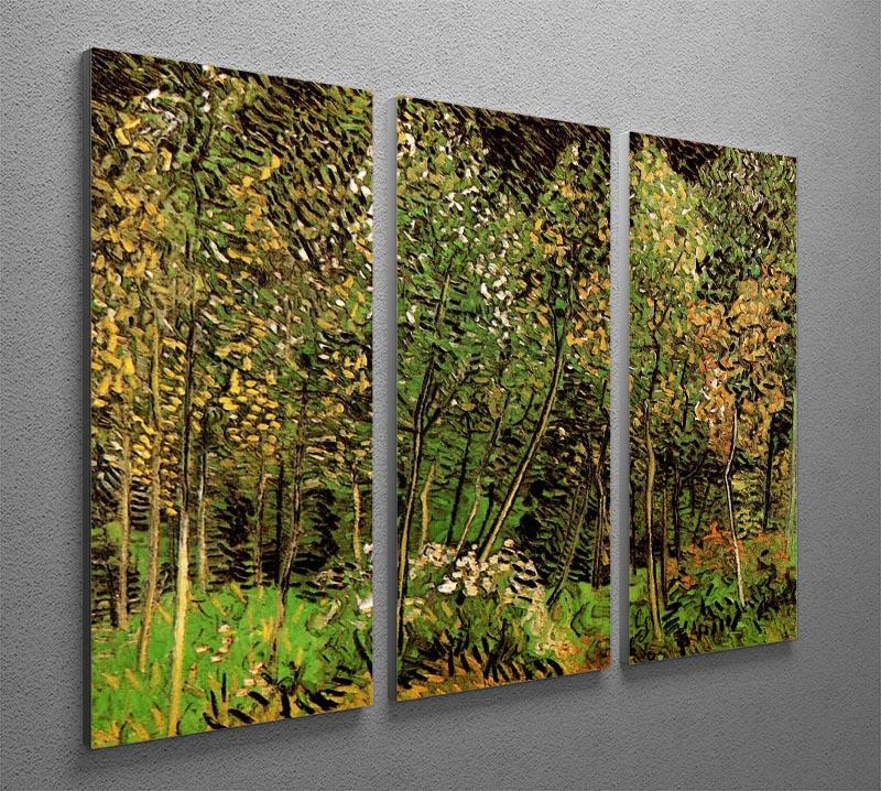 The Grove by Van Gogh 3 Split Panel Canvas Print - Canvas Art Rocks - 4