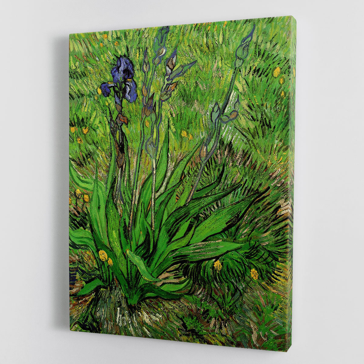 The Iris by Van Gogh Canvas Print or Poster - Canvas Art Rocks - 1