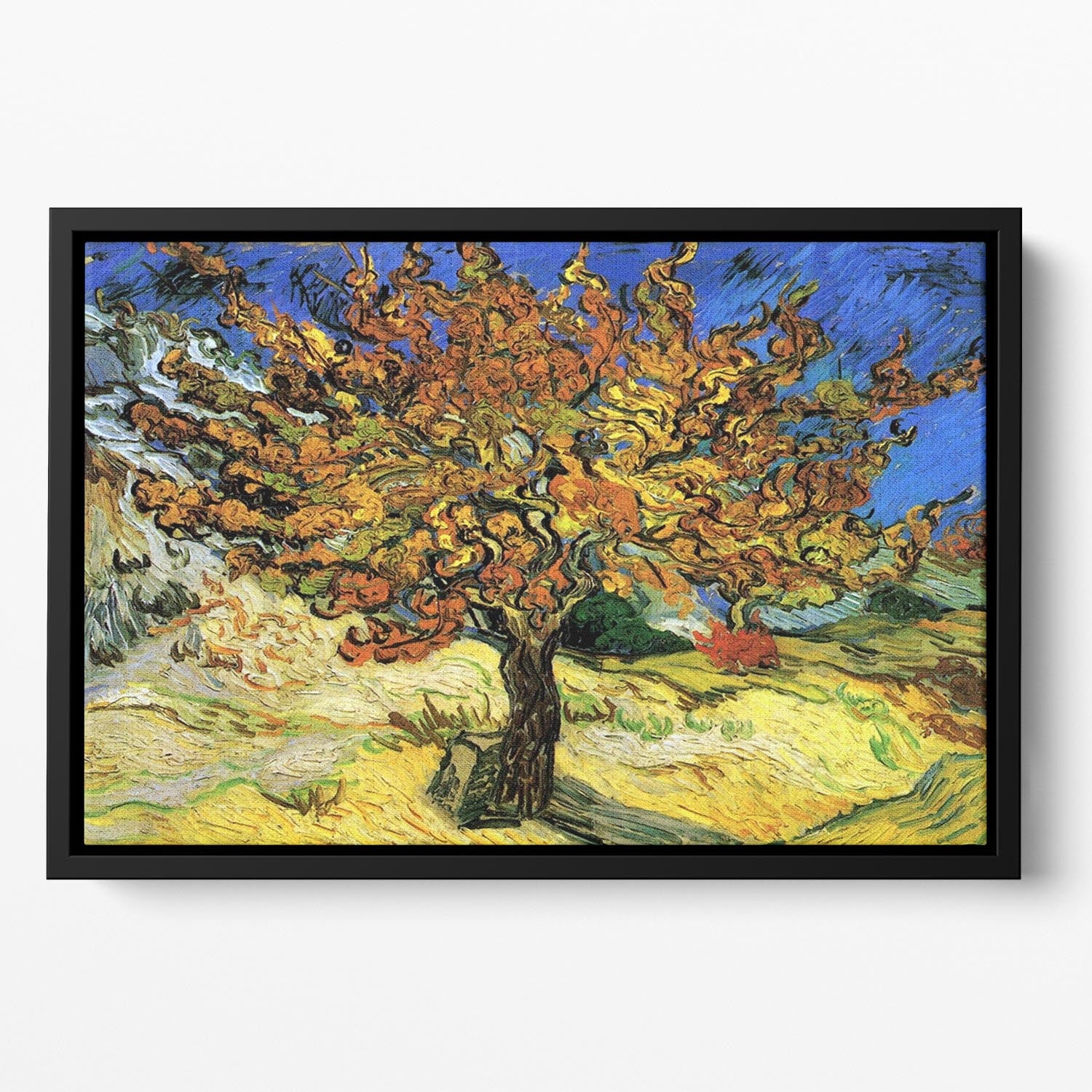 The Mulberry Tree by Van Gogh Floating Framed Canvas