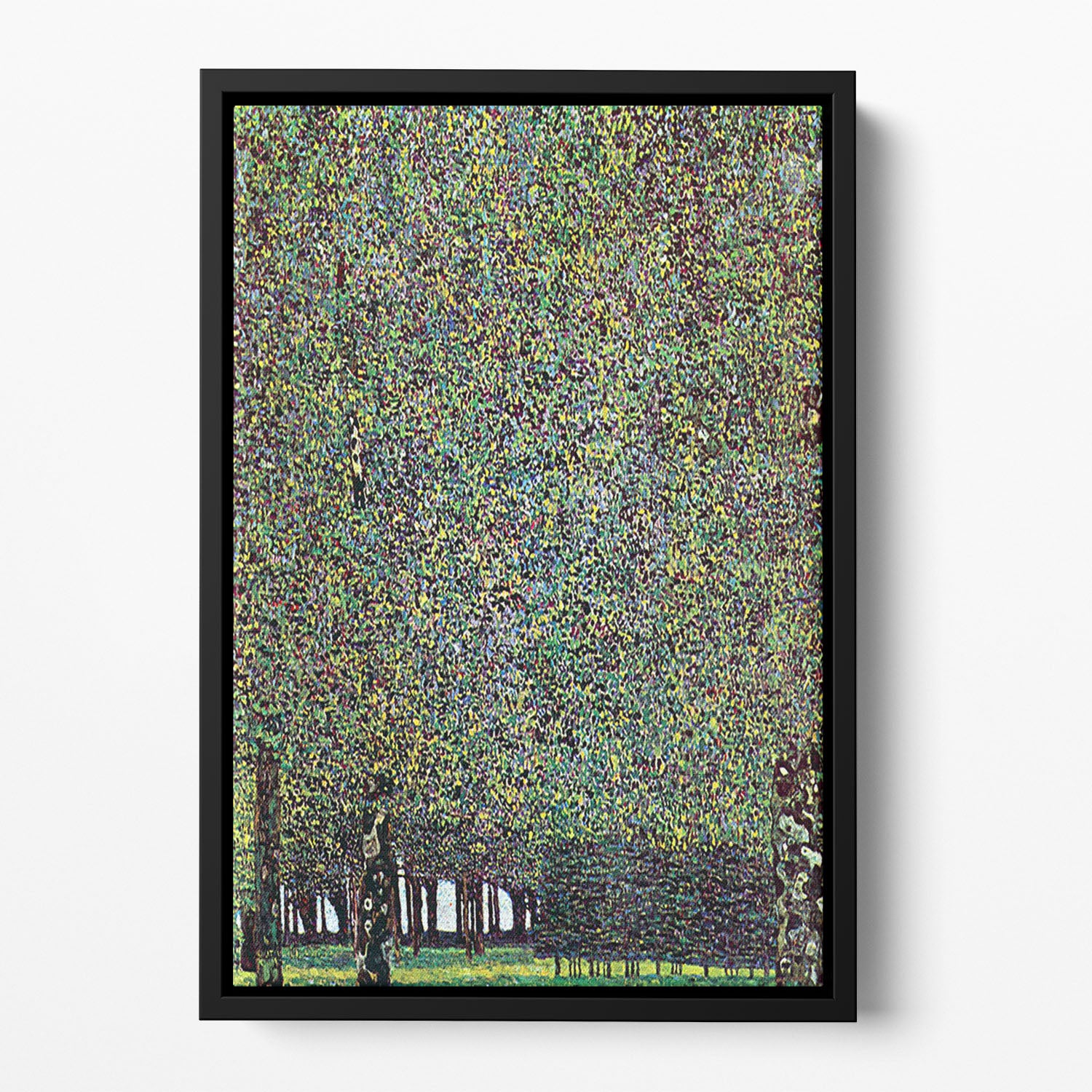 The Park by Klimt Floating Framed Canvas