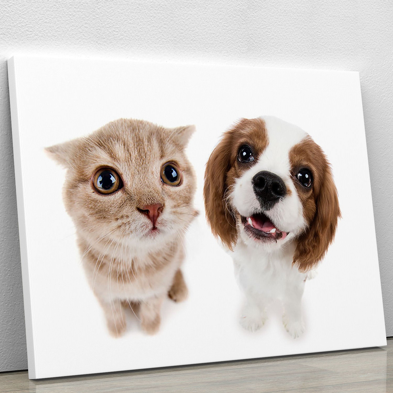 The beautiful brown little kitten with dog Canvas Print or Poster - Canvas Art Rocks - 1