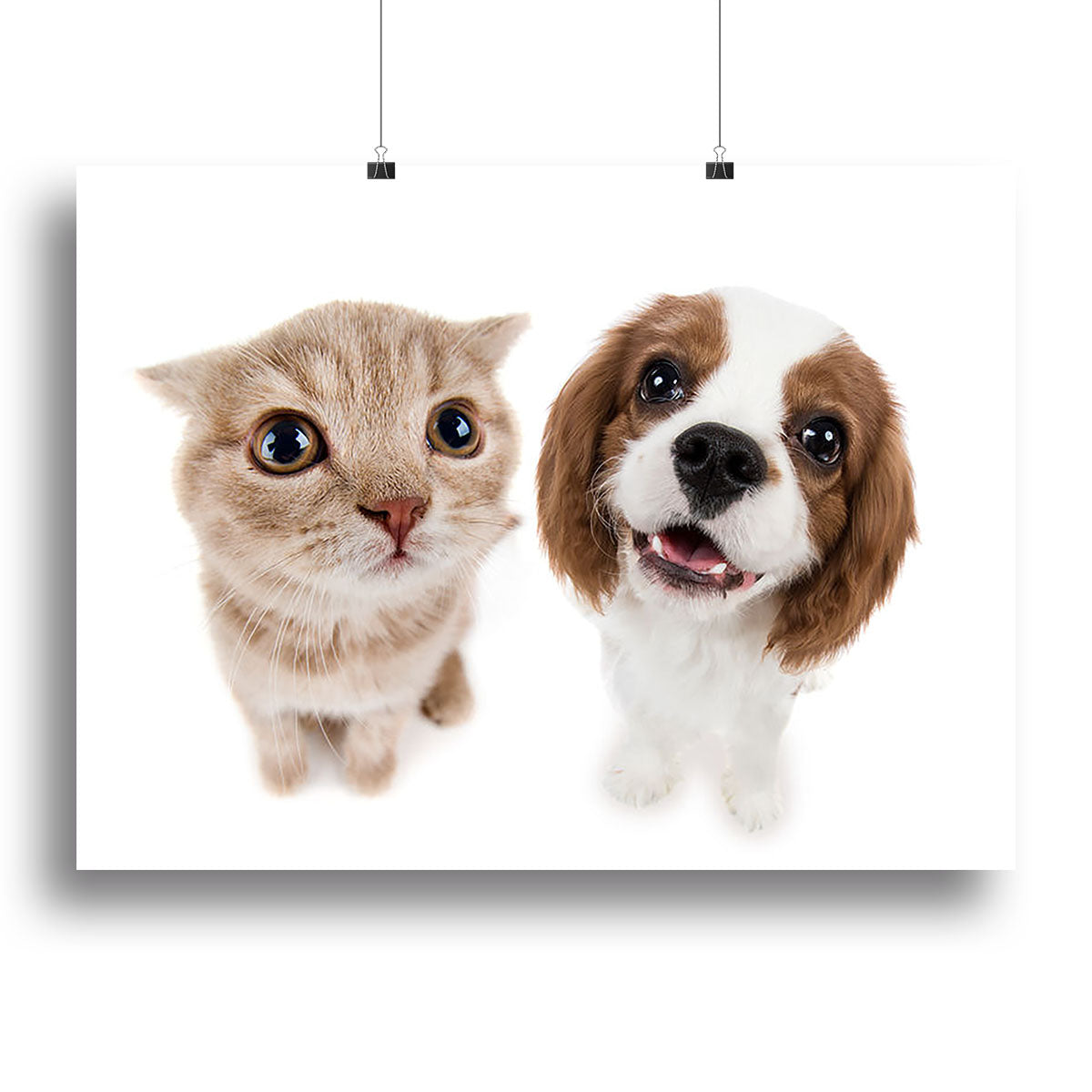 The beautiful brown little kitten with dog Canvas Print or Poster - Canvas Art Rocks - 2