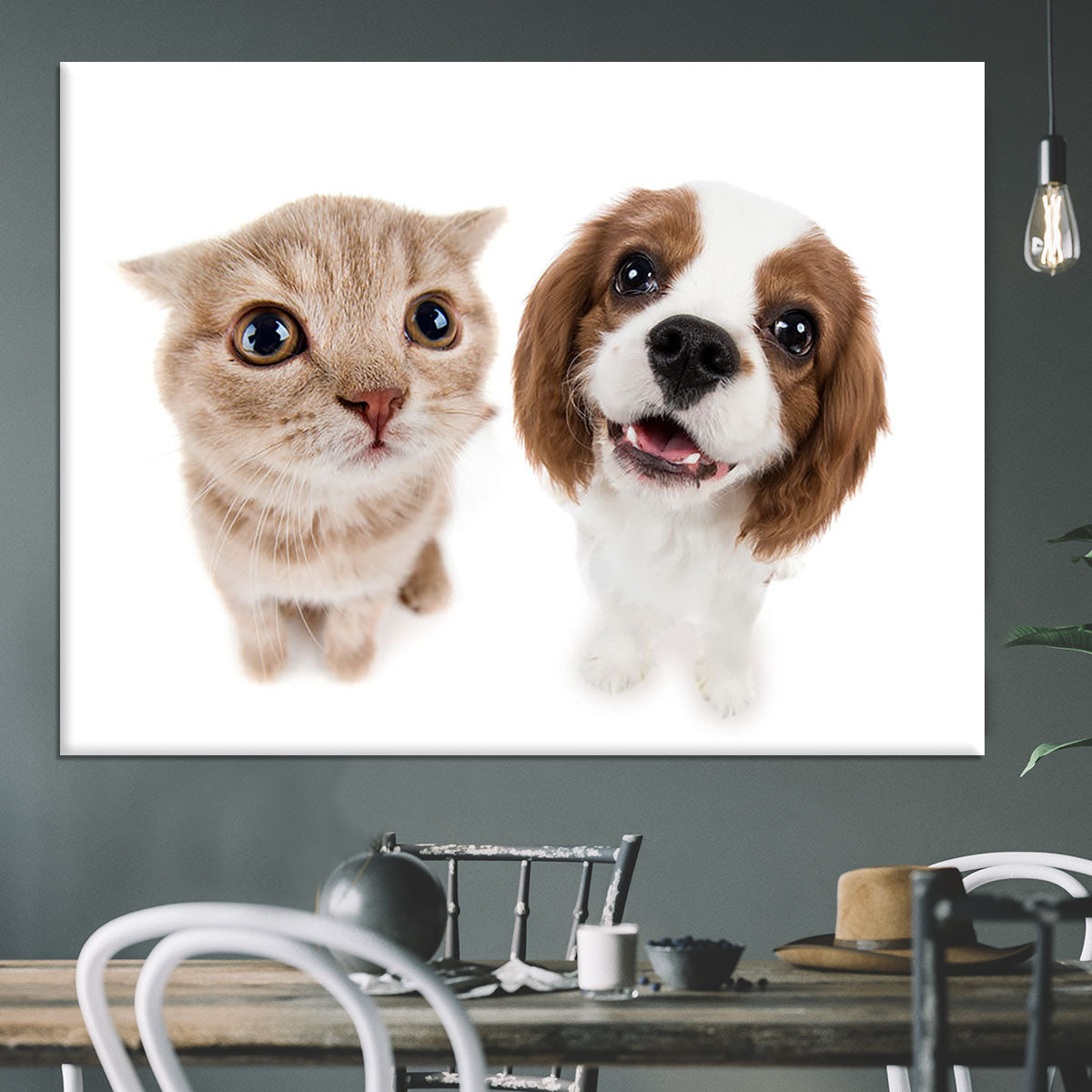 The beautiful brown little kitten with dog Canvas Print or Poster - Canvas Art Rocks - 3
