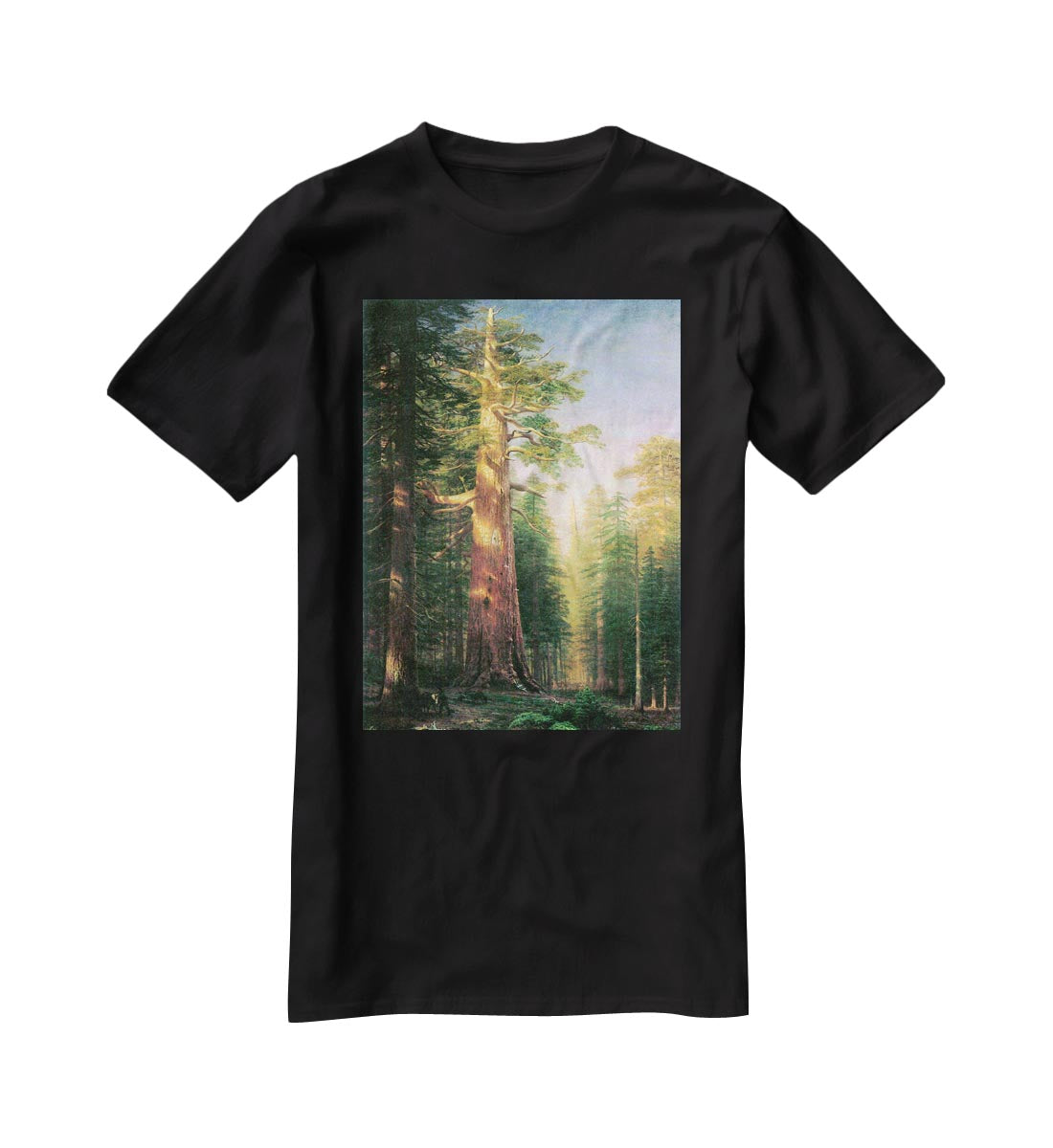The big trees Mariposa Grove California by Bierstadt T-Shirt - Canvas Art Rocks - 1