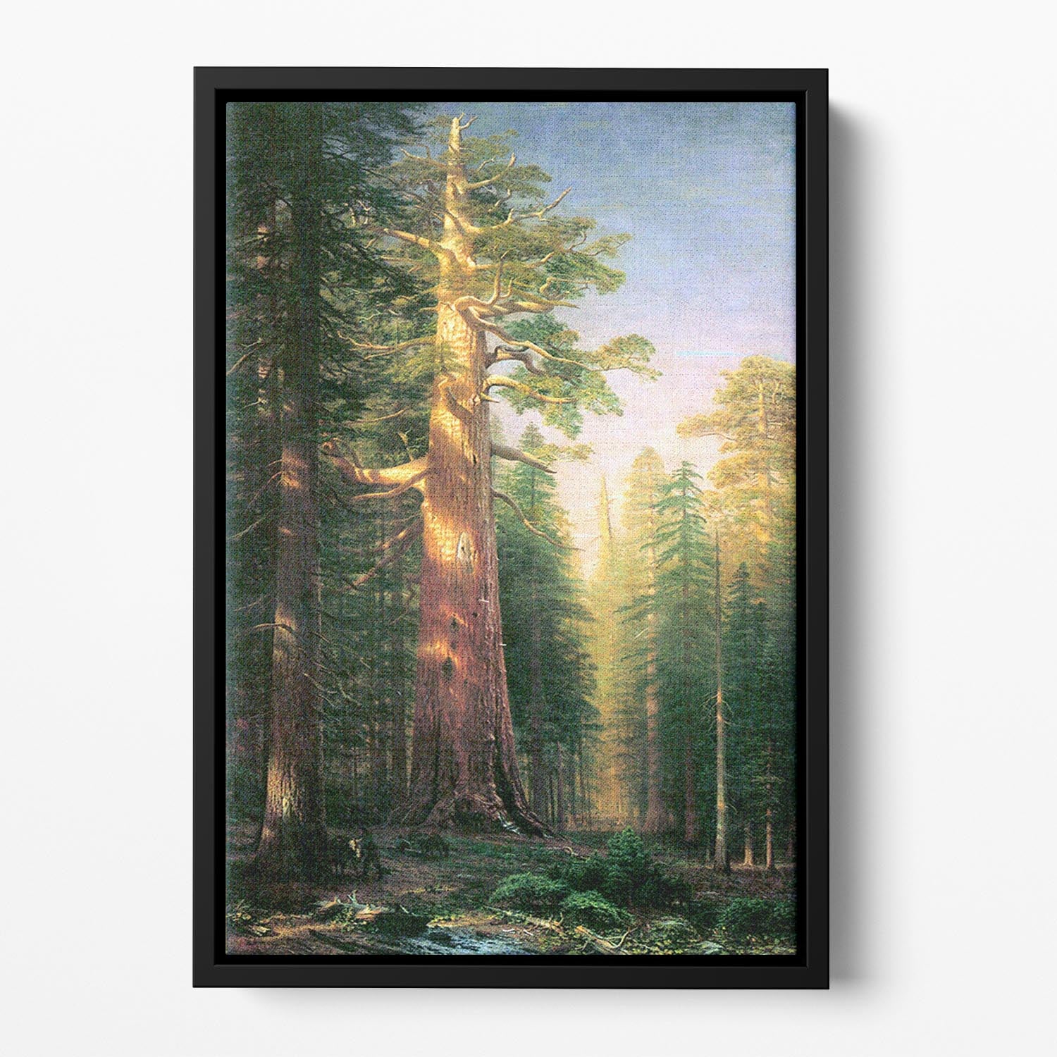 The big trees Mariposa Grove California by Bierstadt Floating Framed Canvas - Canvas Art Rocks - 2