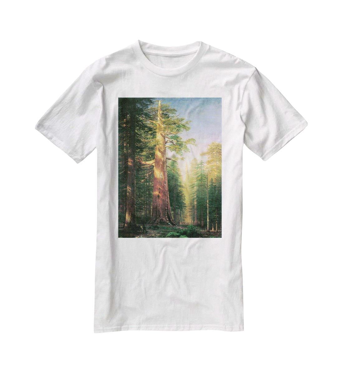 The big trees Mariposa Grove California by Bierstadt T-Shirt - Canvas Art Rocks - 5