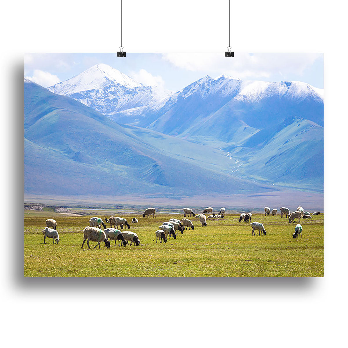 The flock under the snow mountain Canvas Print or Poster - Canvas Art Rocks - 2