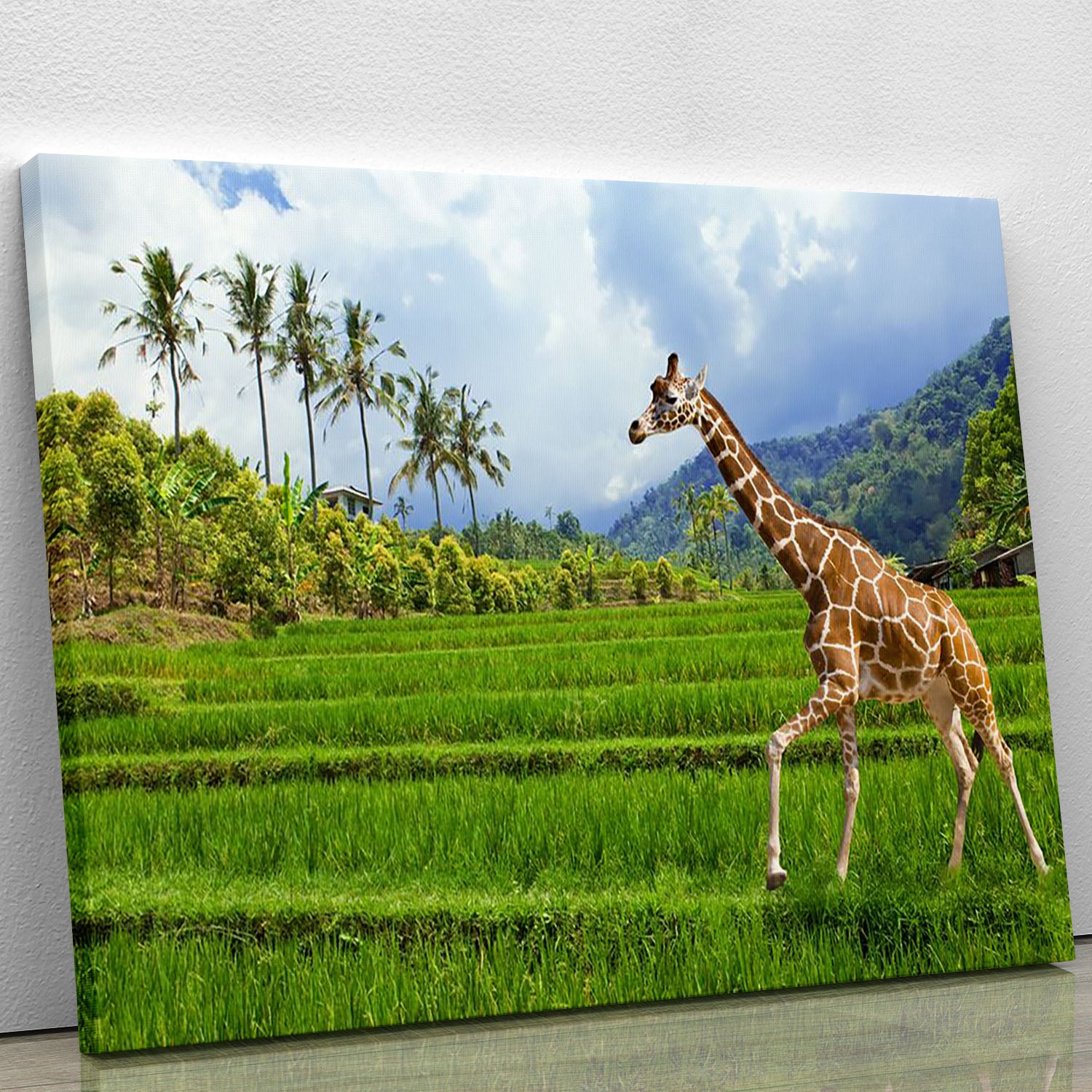 The giraffe goes on a green grass against mountains Canvas Print or Poster - Canvas Art Rocks - 1