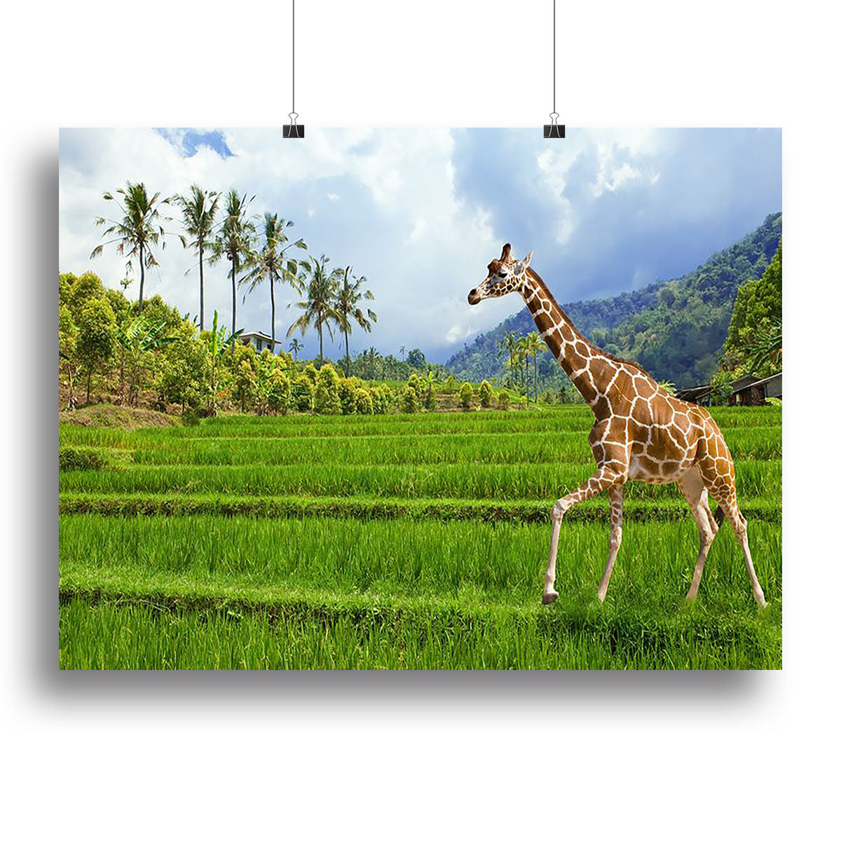 The giraffe goes on a green grass against mountains Canvas Print or Poster - Canvas Art Rocks - 2