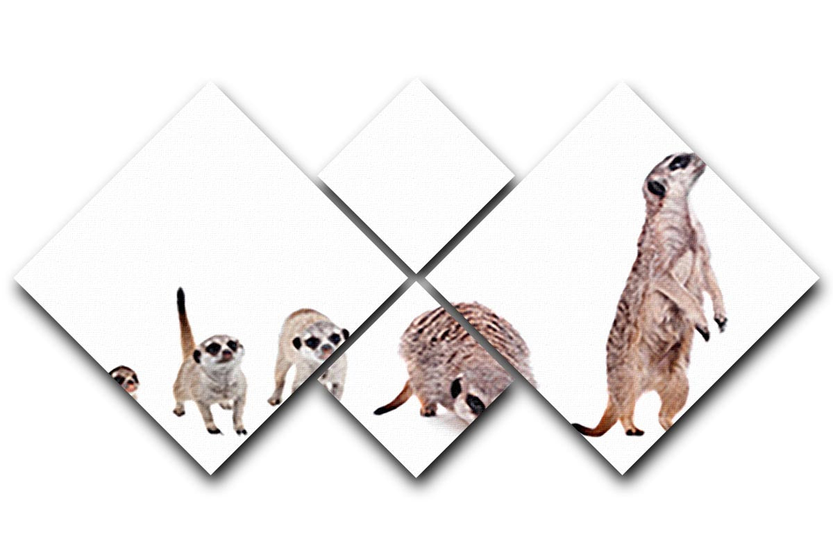 The meerkats on white 4 Square Multi Panel Canvas - Canvas Art Rocks - 1
