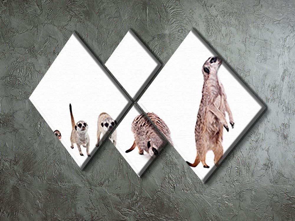 The meerkats on white 4 Square Multi Panel Canvas - Canvas Art Rocks - 2