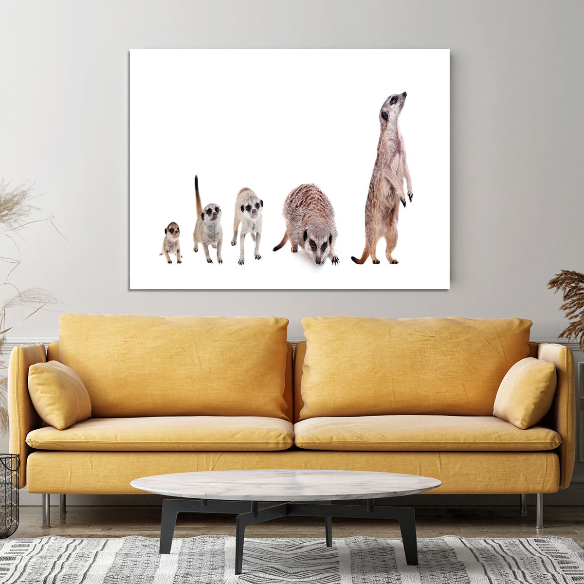 The meerkats on white Canvas Print or Poster - Canvas Art Rocks - 4