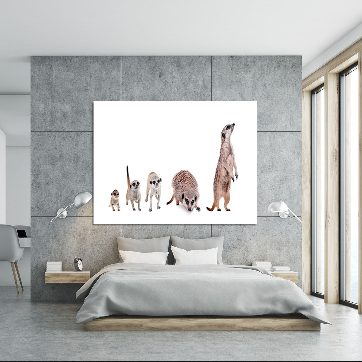 The meerkats on white Canvas Print or Poster - Canvas Art Rocks - 5