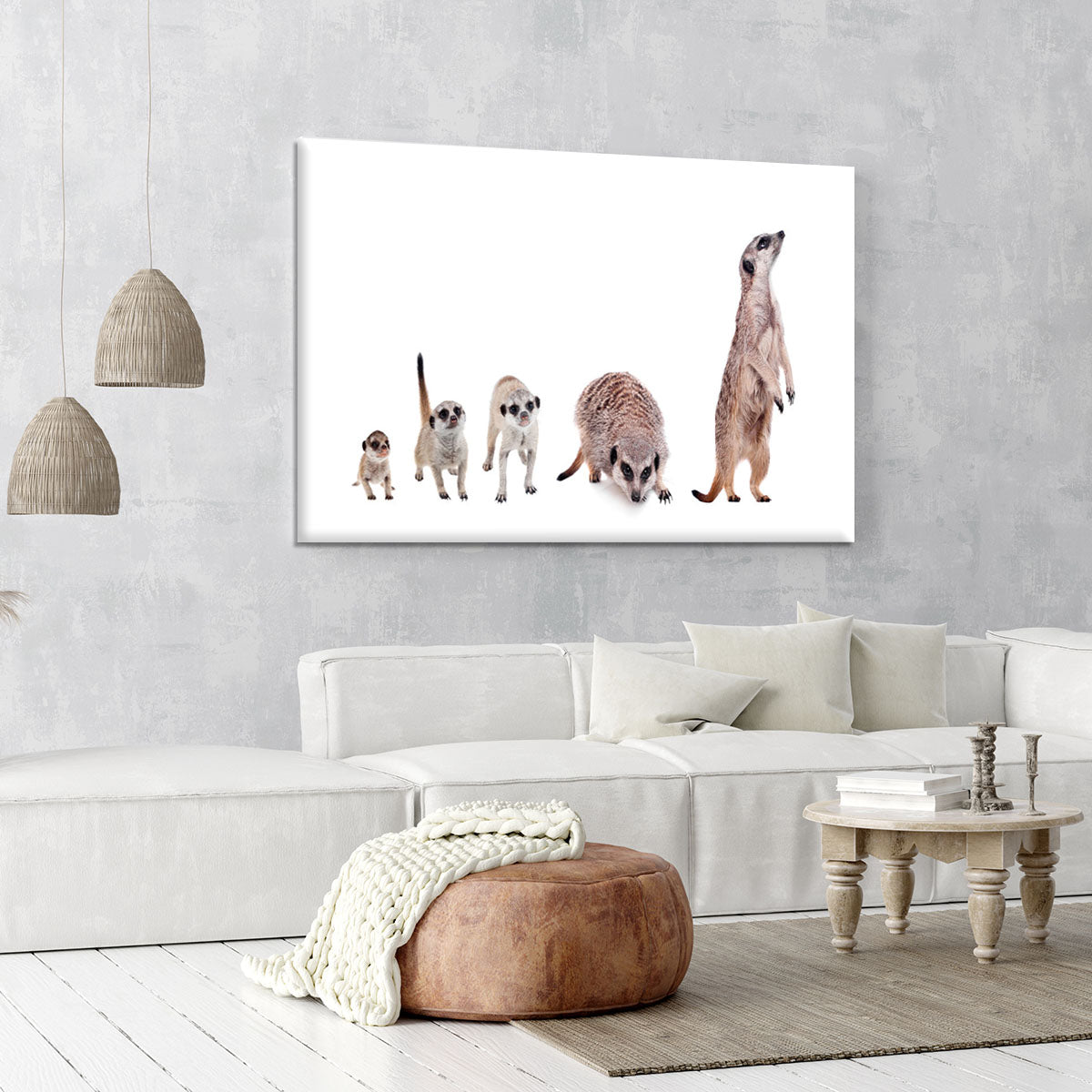 The meerkats on white Canvas Print or Poster - Canvas Art Rocks - 6