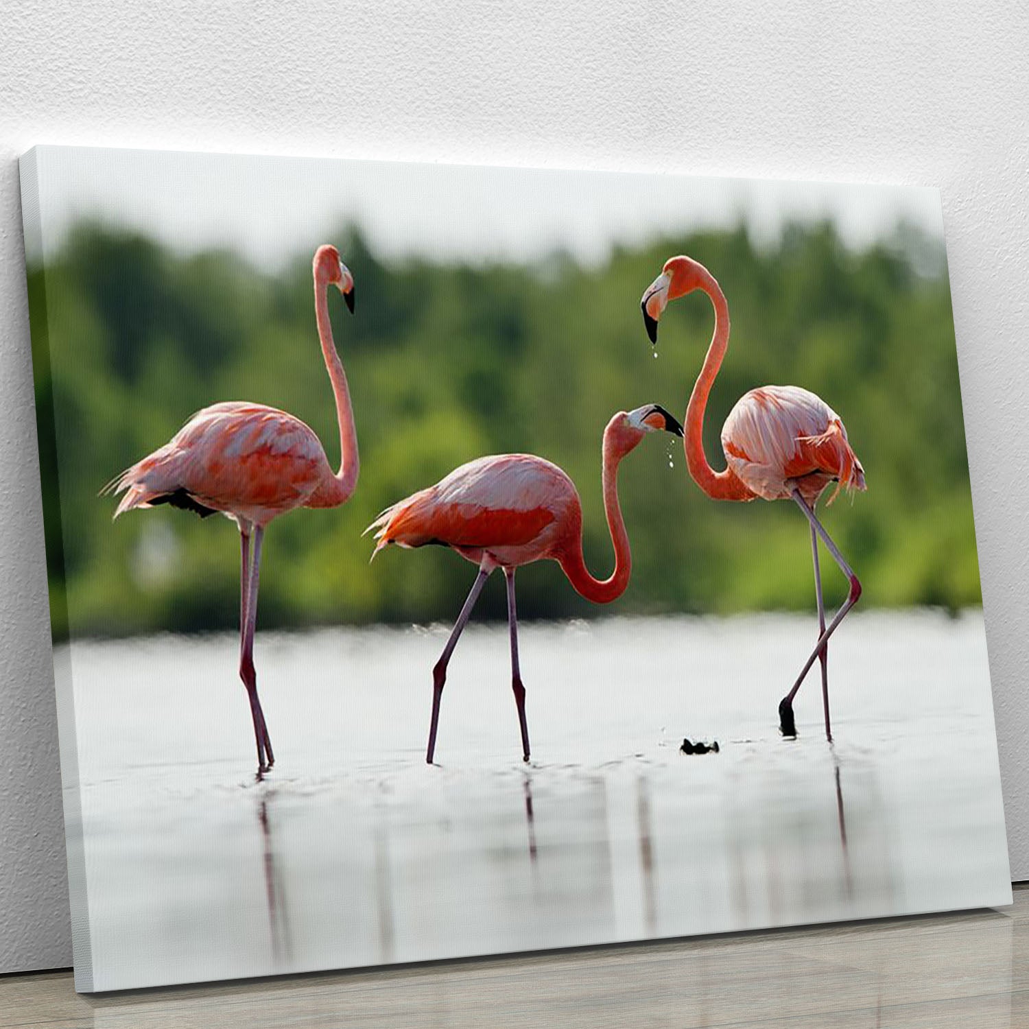The pink Caribbean flamingo Canvas Print or Poster - Canvas Art Rocks - 1