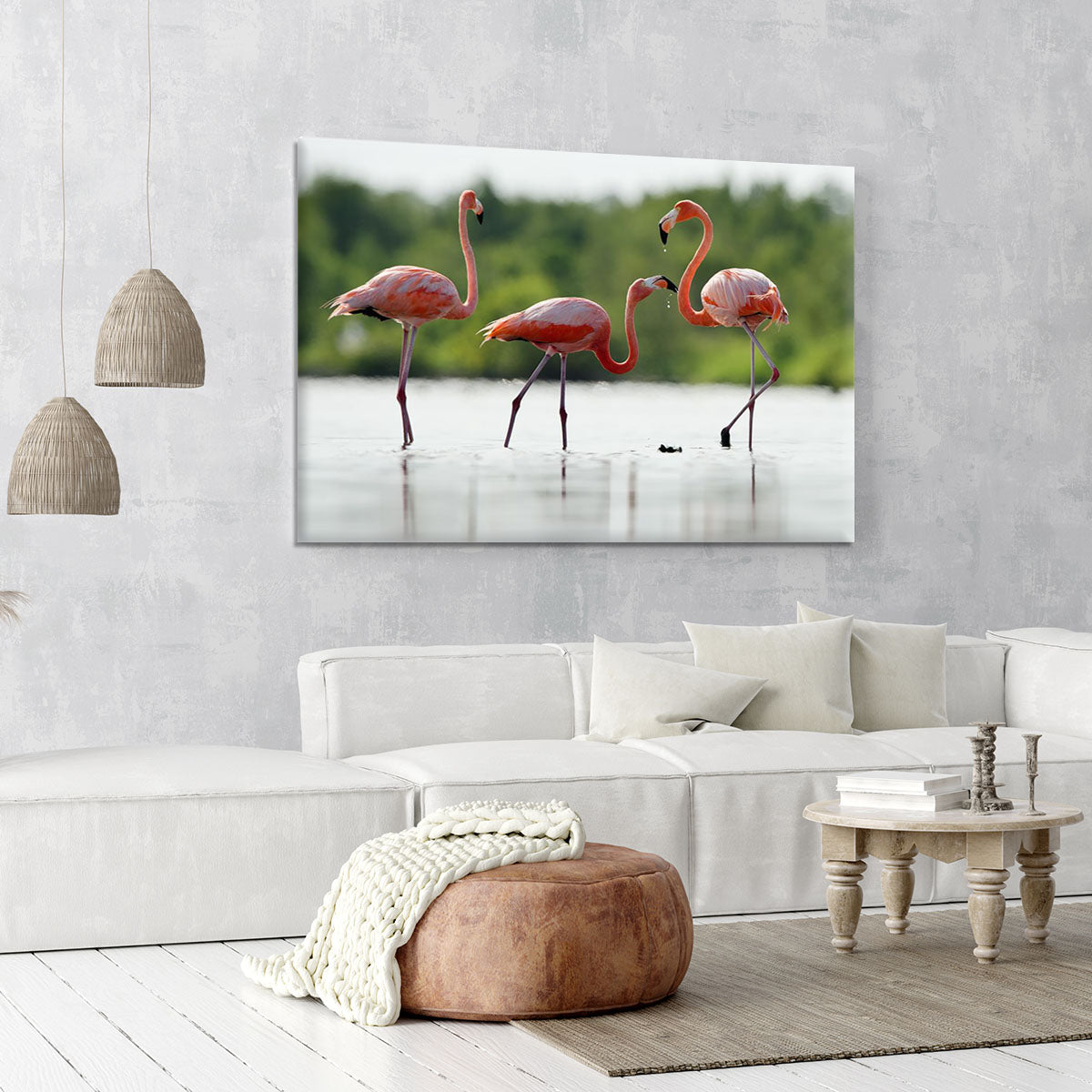 The pink Caribbean flamingo Canvas Print or Poster - Canvas Art Rocks - 6