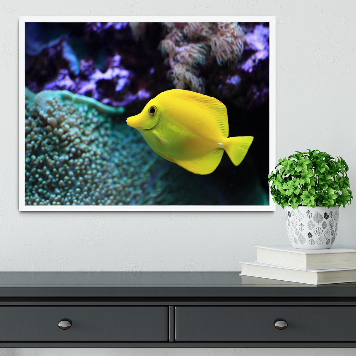 The yellow fish Framed Print - Canvas Art Rocks -6