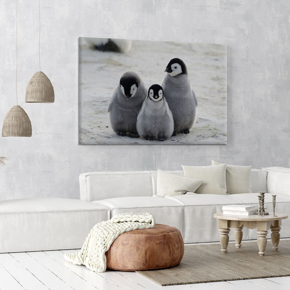 Three Emperor Penguin Chicks Together Canvas Print or Poster - Canvas Art Rocks - 6