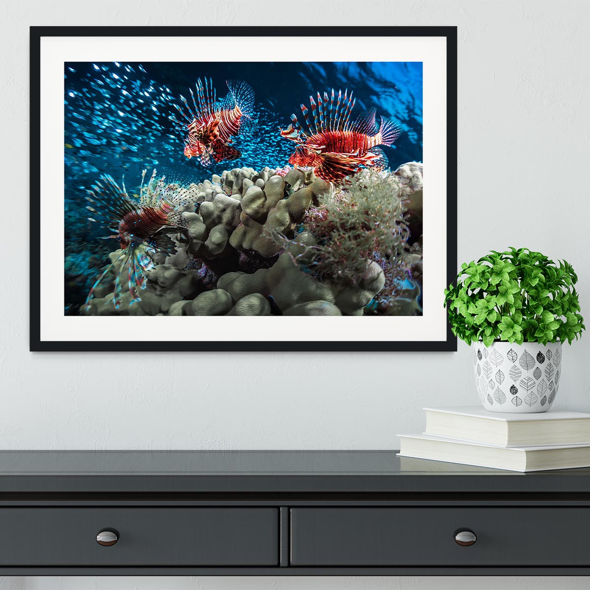 Three Lion fishes and school of bait fish Framed Print - Canvas Art Rocks - 1