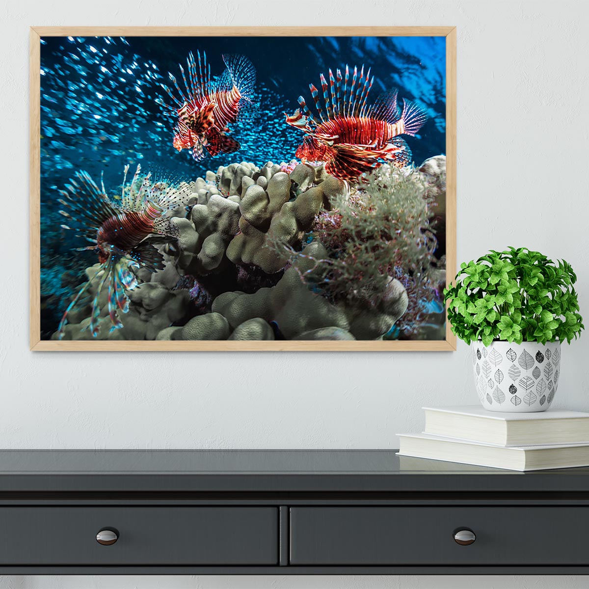 Three Lion fishes and school of bait fish Framed Print - Canvas Art Rocks - 4