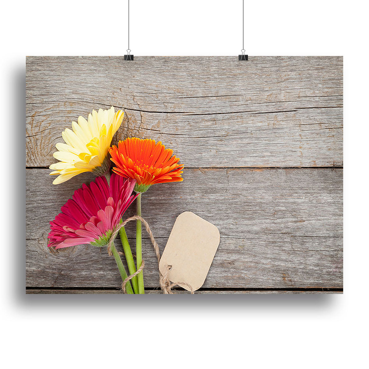 Three colorful gerbera flowers Canvas Print or Poster - Canvas Art Rocks - 2