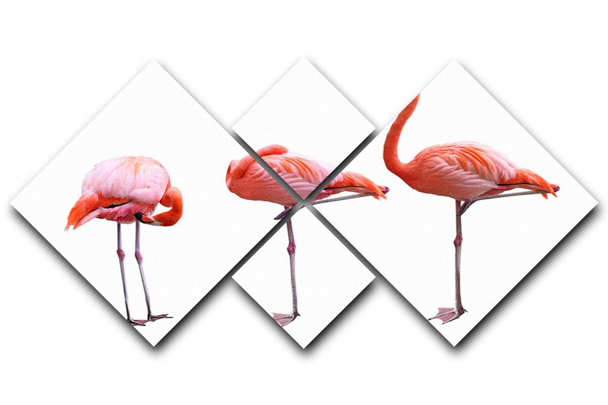 Three flamingo birds isolated on white background 4 Square Multi Panel Canvas - Canvas Art Rocks - 1