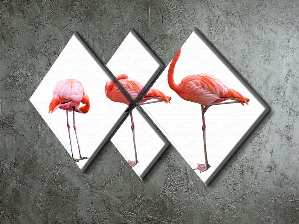 Three flamingo birds isolated on white background 4 Square Multi Panel Canvas - Canvas Art Rocks - 2