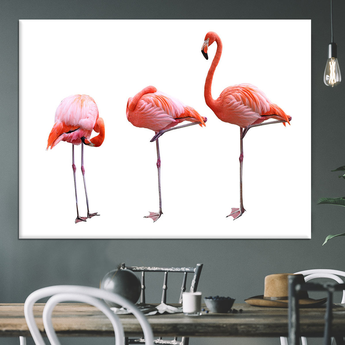 Three flamingo birds isolated on white background Canvas Print or Poster - Canvas Art Rocks - 3