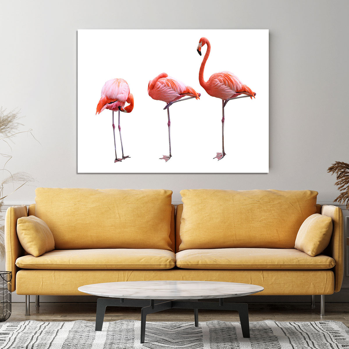 Three flamingo birds isolated on white background Canvas Print or Poster - Canvas Art Rocks - 4