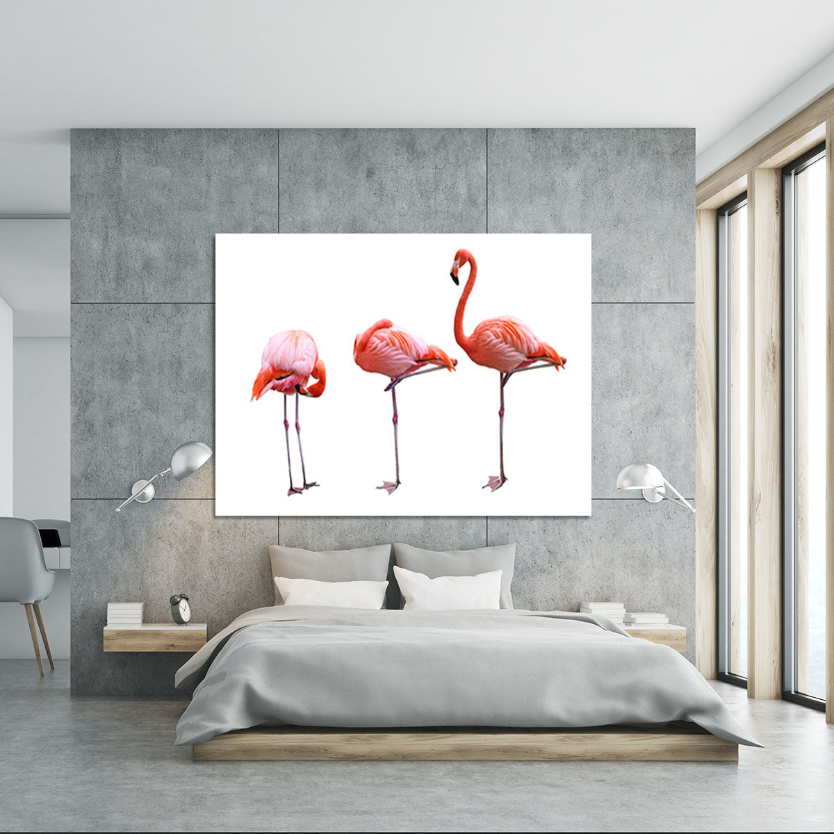 Three flamingo birds isolated on white background Canvas Print or Poster - Canvas Art Rocks - 5