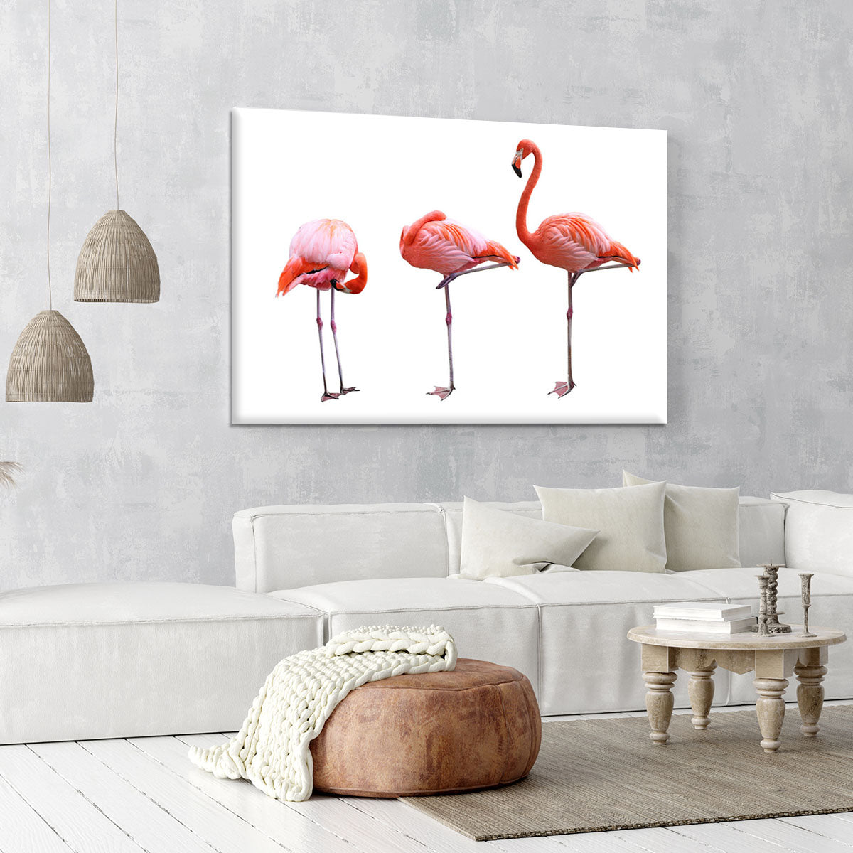 Three flamingo birds isolated on white background Canvas Print or Poster - Canvas Art Rocks - 6