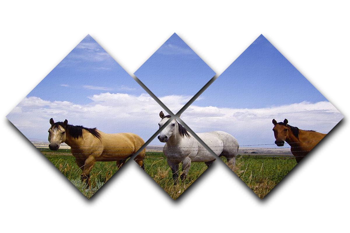 Three horses of a different color 4 Square Multi Panel Canvas - Canvas Art Rocks - 1