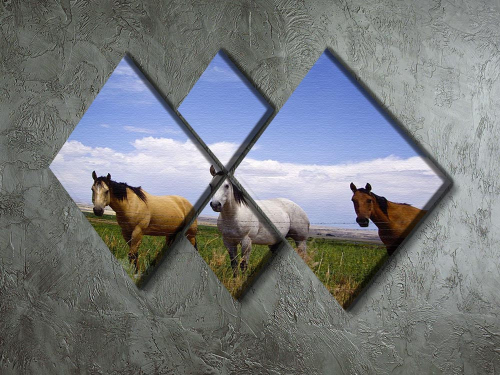 Three horses of a different color 4 Square Multi Panel Canvas - Canvas Art Rocks - 2