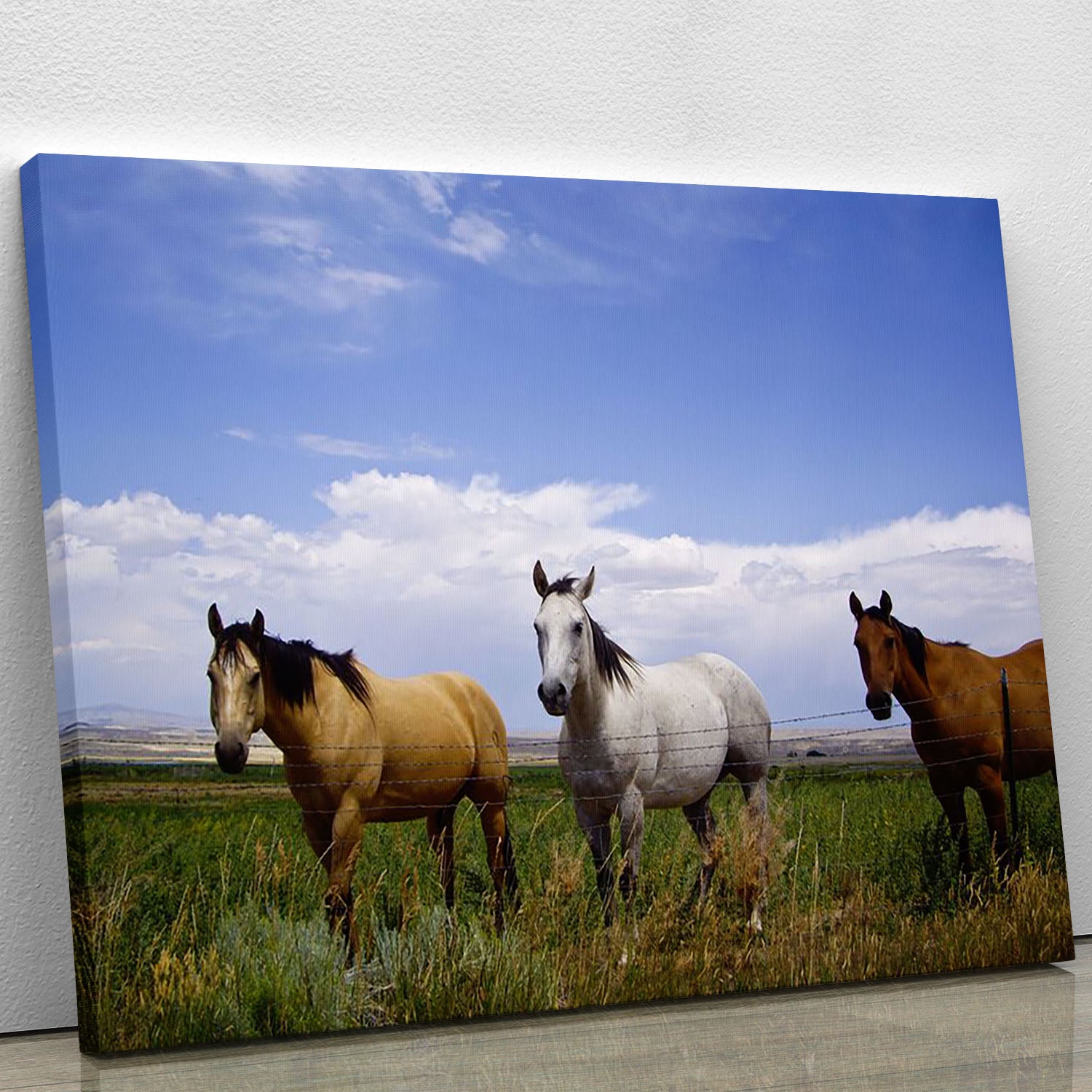 Three horses of a different color Canvas Print or Poster - Canvas Art Rocks - 1
