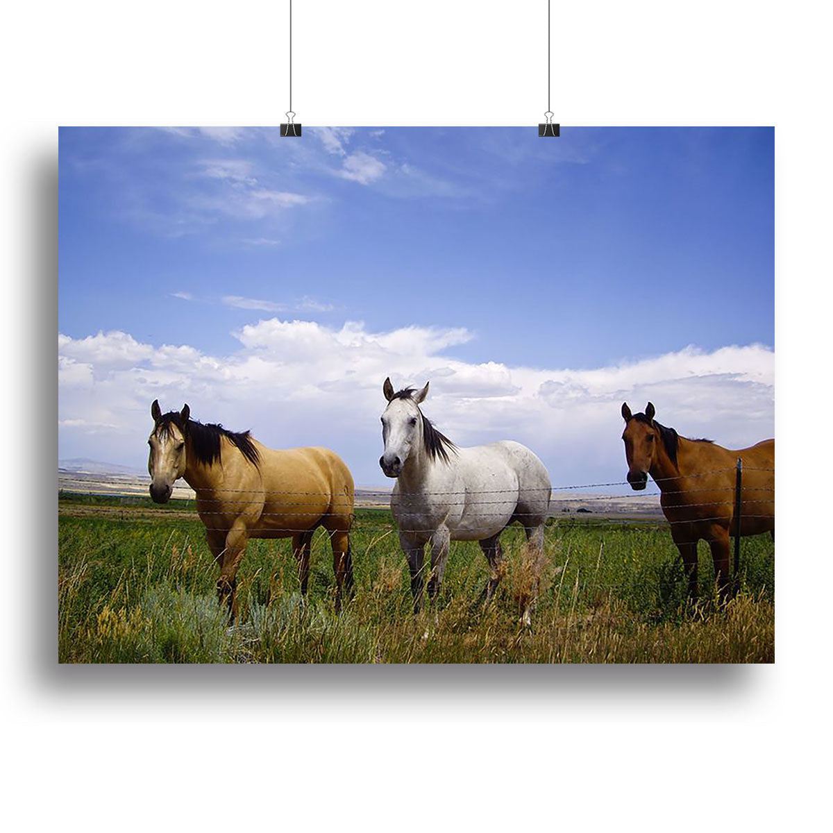 Three horses of a different color Canvas Print or Poster - Canvas Art Rocks - 2