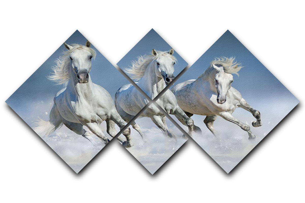 Three white horse run gallop in snow 4 Square Multi Panel Canvas - Canvas Art Rocks - 1