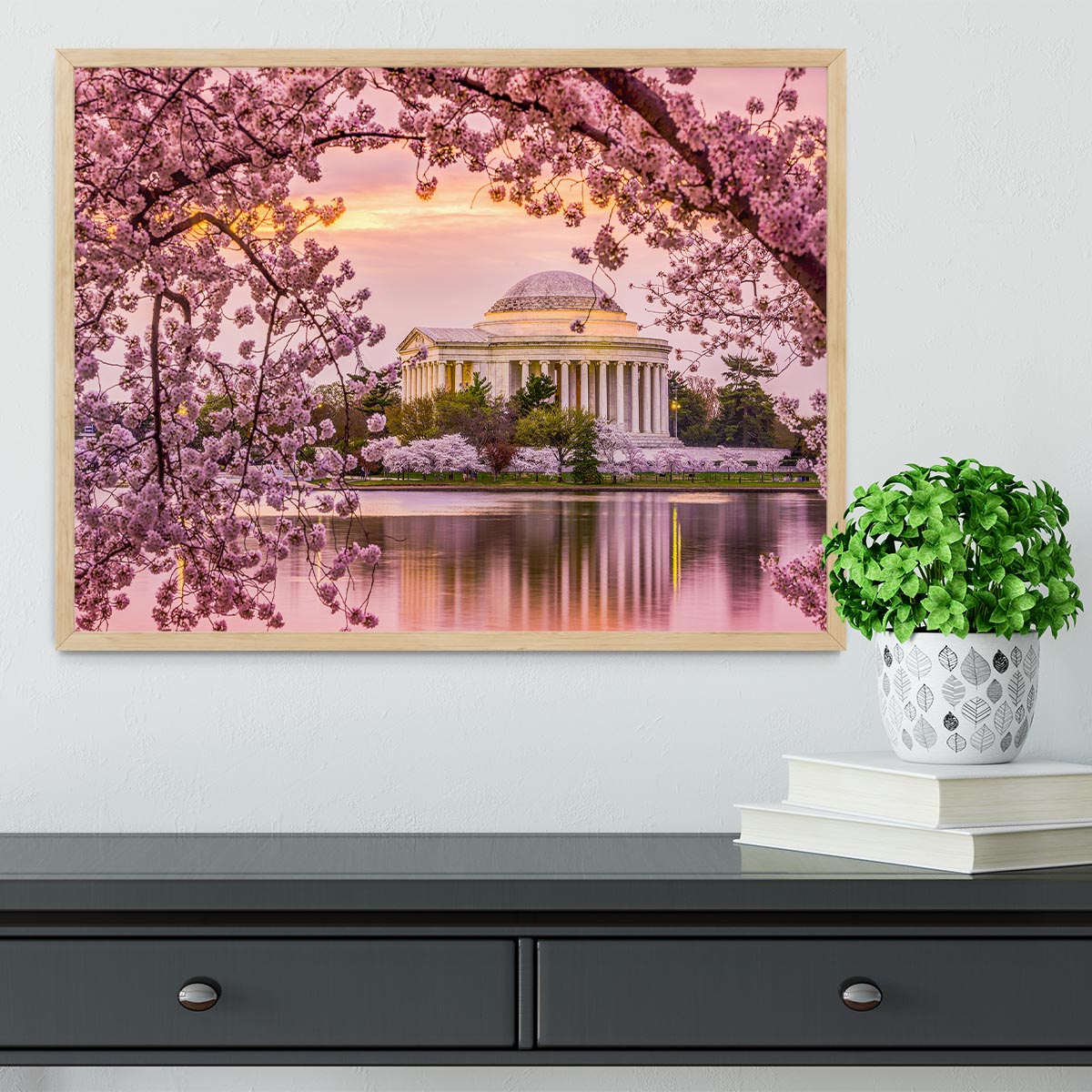 Tidal Basin and Jefferson Memorial cherry blossom season Framed Print - Canvas Art Rocks - 4