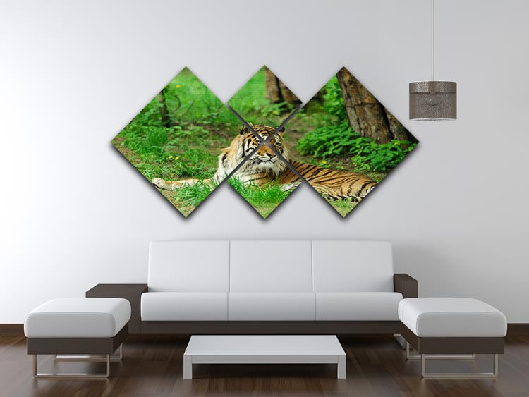 Tiger on the green grass 4 Square Multi Panel Canvas - Canvas Art Rocks - 3