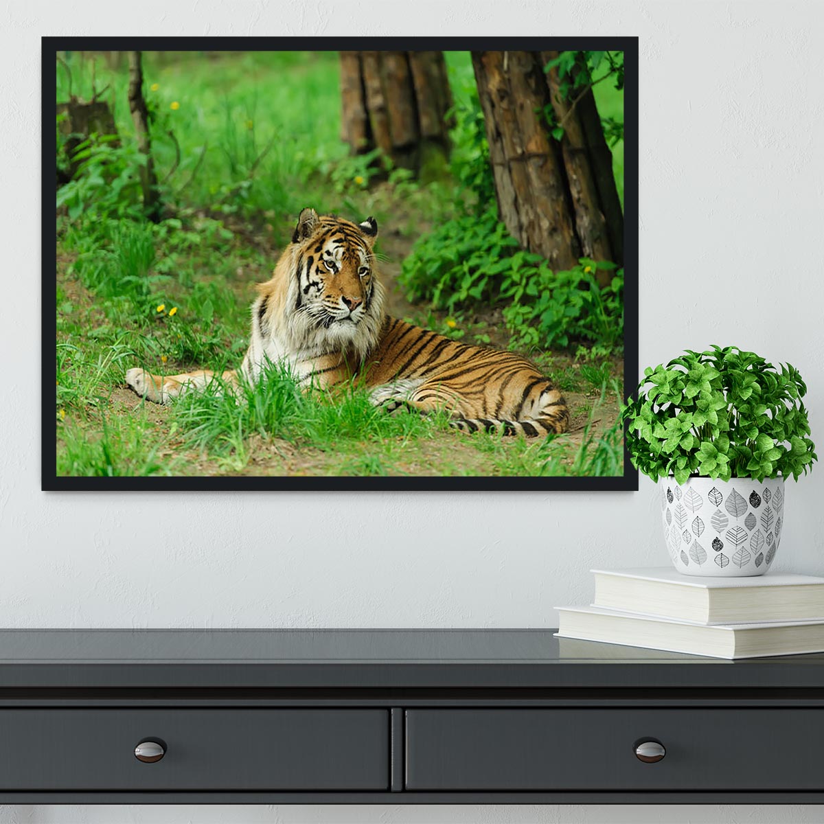 Tiger on the green grass Framed Print - Canvas Art Rocks - 2