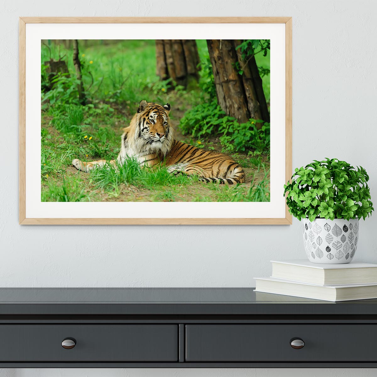 Tiger on the green grass Framed Print - Canvas Art Rocks - 3