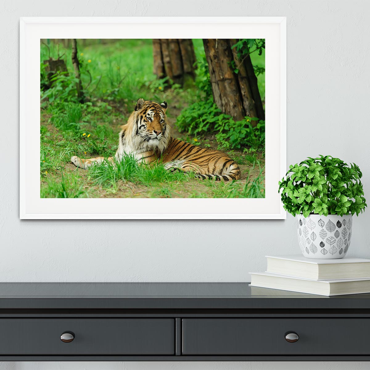 Tiger on the green grass Framed Print - Canvas Art Rocks - 5