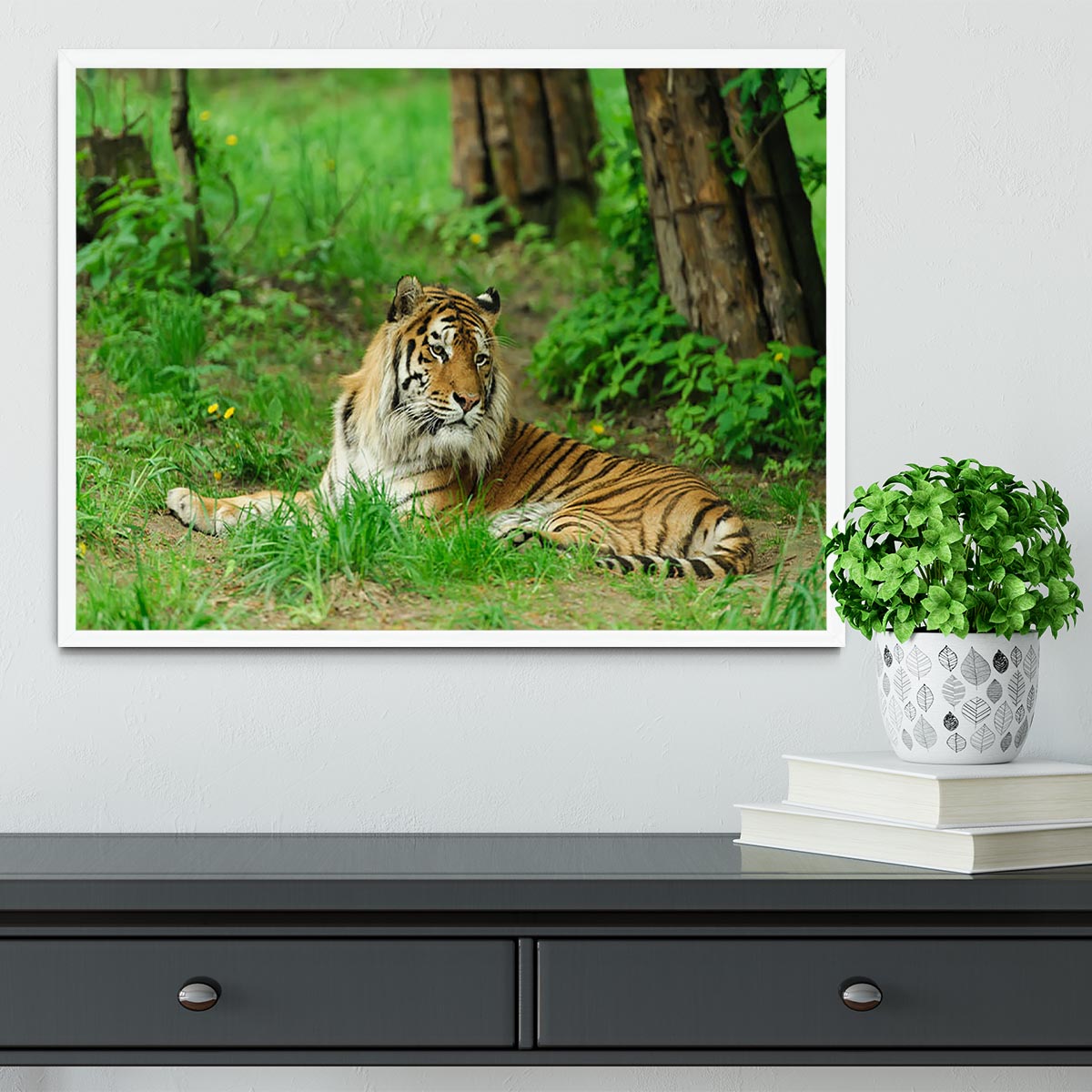 Tiger on the green grass Framed Print - Canvas Art Rocks -6